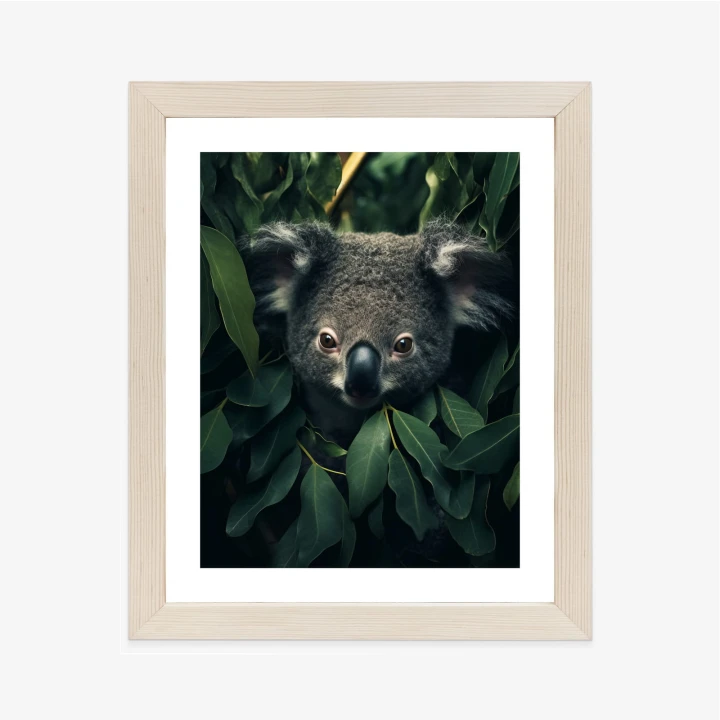 Plakat Koala Siedzący W Liściach