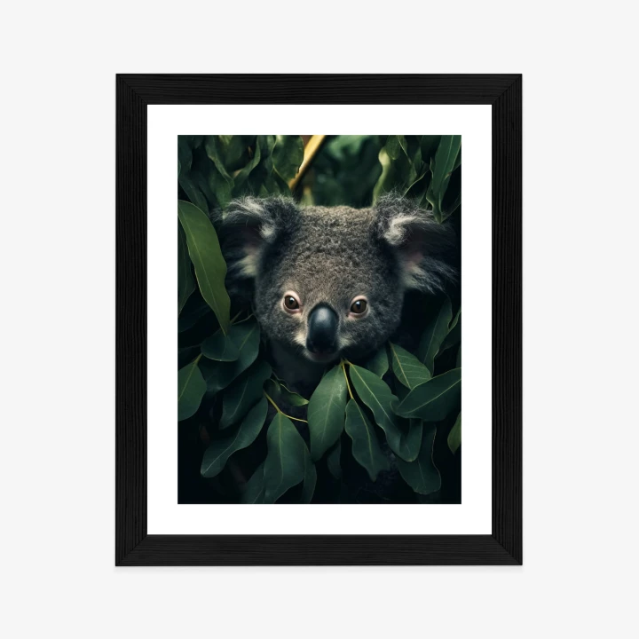 Plakat Koala Siedzący W Liściach