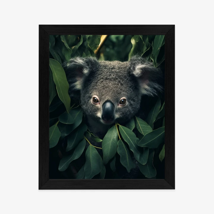 Plakat Koala Siedzący W Liściach