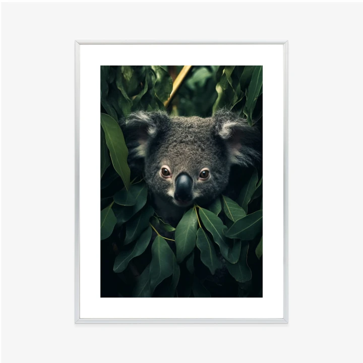 Plakat Koala Siedzący W Liściach