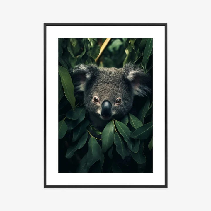 Plakat Koala Siedzący W Liściach