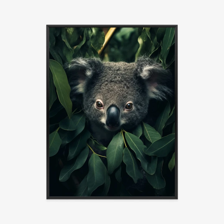 Plakat Koala Siedzący W Liściach