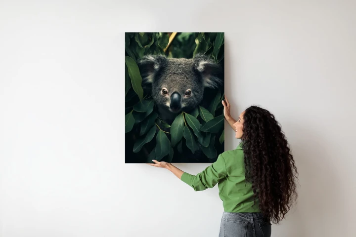 Plakat Koala Siedzący W Liściach