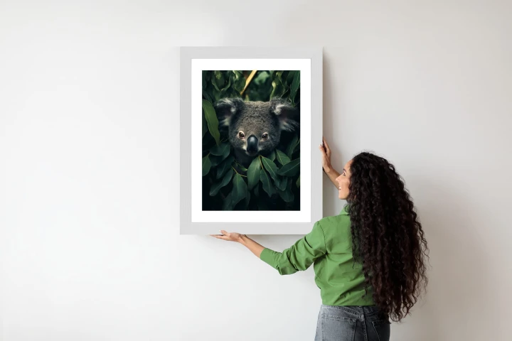 Plakat Koala Siedzący W Liściach