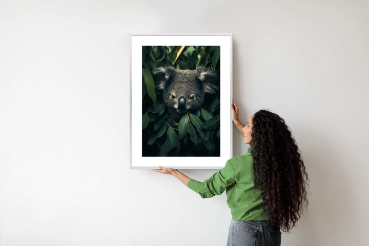 Plakat Koala Siedzący W Liściach