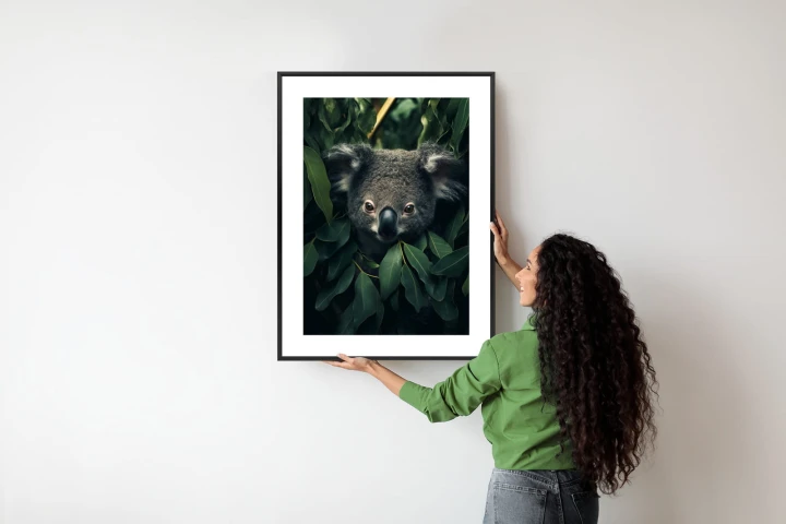 Plakat Koala Siedzący W Liściach