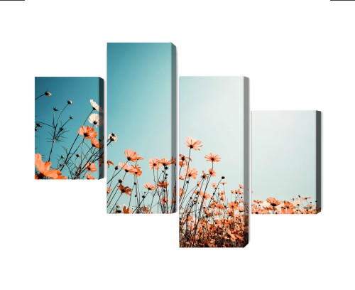 Obraz Wieloczęściowy Kwiaty Polne W Słońcu