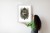 Plakat Ornament Z Wilkiem