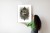 Plakat Ornament Z Wilkiem