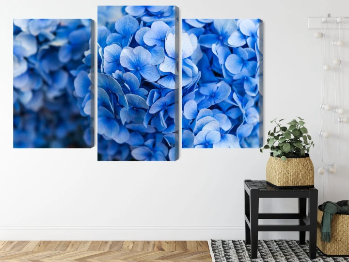 Obraz Wieloczęściowy Kwiaty Niebieskiej Hortensji Z Bliska