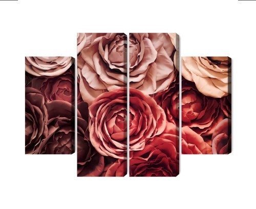 Obraz Wieloczęściowy Kolorowe Kwiaty Z Bliska 3D