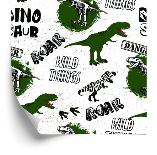 Tapeta Do Pokoju Młodzieżowego, Dinozaury