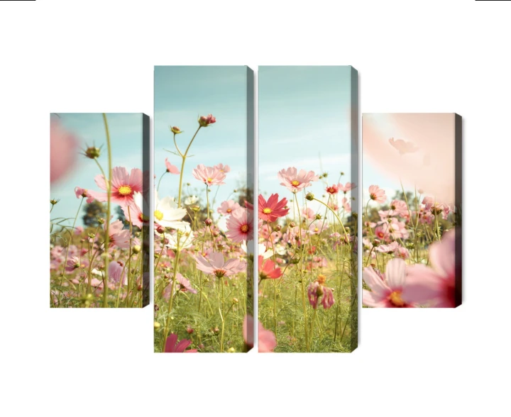 Obraz Wieloczęściowy Kwiaty Kosmosu W Ogrodzie