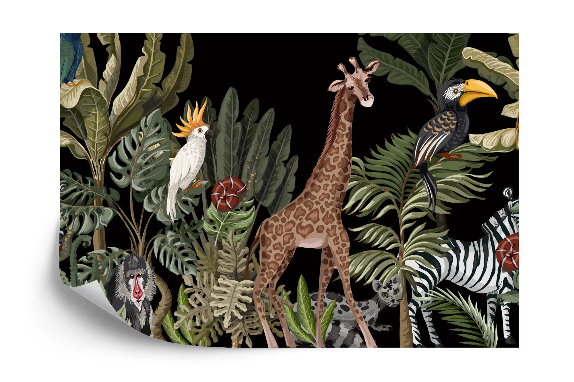 fototapety dla dzieci